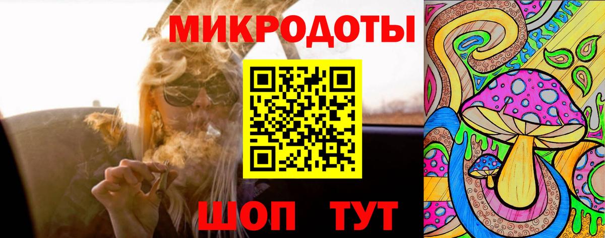 Галлюциногенные грибы Psilocybine cubensis Воркута