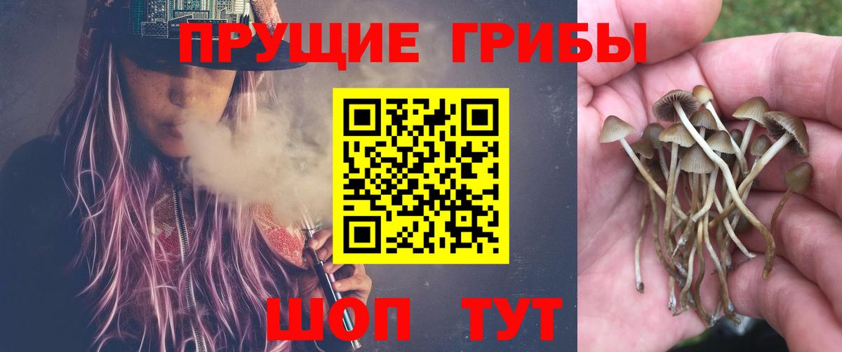 Воркута  Псилоцибиновые грибы MAGIC MUSHROOMS  Вход с VPN  Галлюциногенные грибы ЛСД 